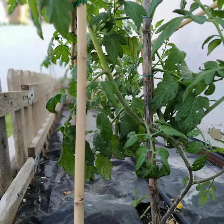度假居 El Vivero *